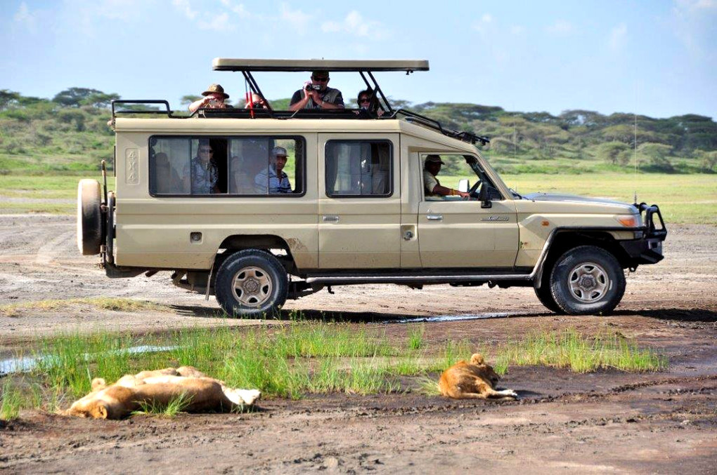 safari-land-cruiser-6-seater